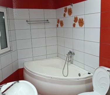 Tirgu Mures Apartment | Gara mare 2 camere