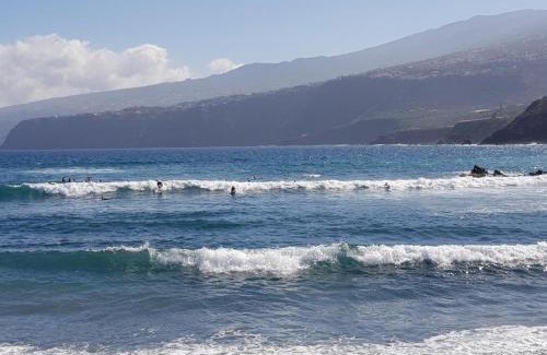 Punta del Hidalgo Apartment | Garaymaca