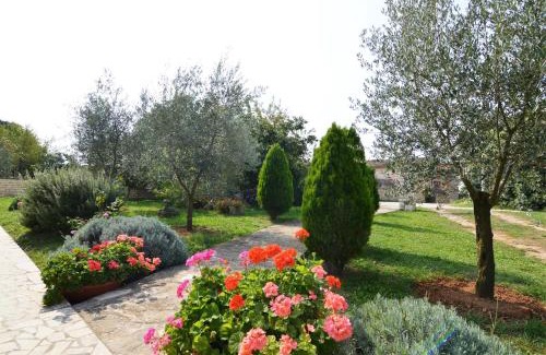 Flengi Apartment | Garden Apartment Maria