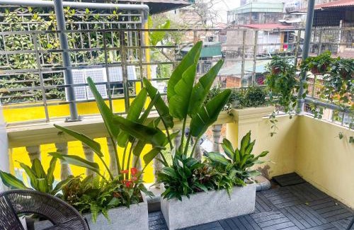 Hang Bo House | Garden Balcony Room In Old Quarter Netflix Free Washer Dryer