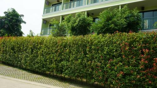 Tha Pho Hotel | Garden Corner Resort & Hotel