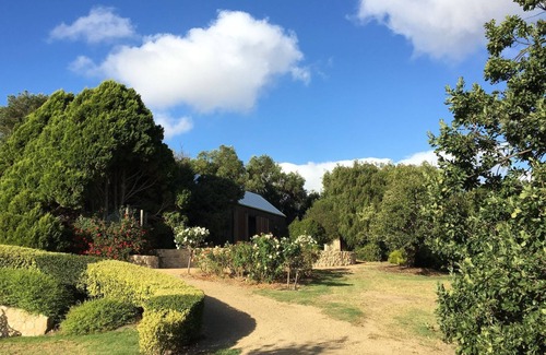 Yankalilla Cottage | Garden Cottage olives