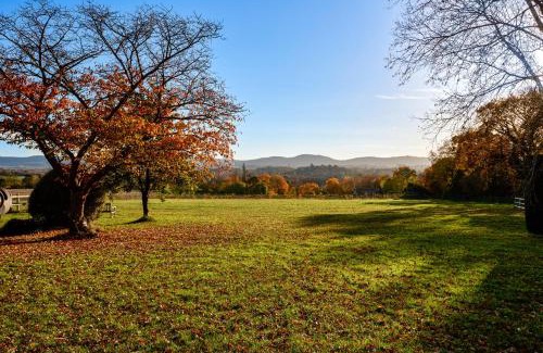 Rogate Apartment | Garden flat near Goodwood with stunning views