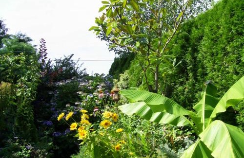 Courtenay House | Garden House