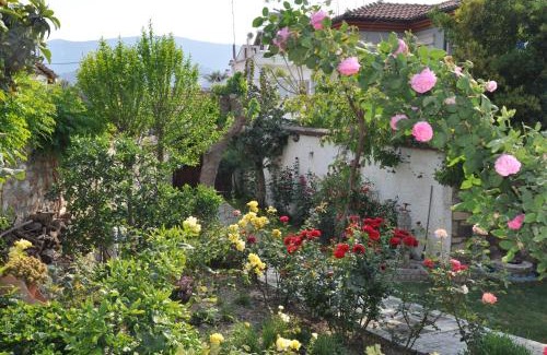 Selcuk House | Garden House