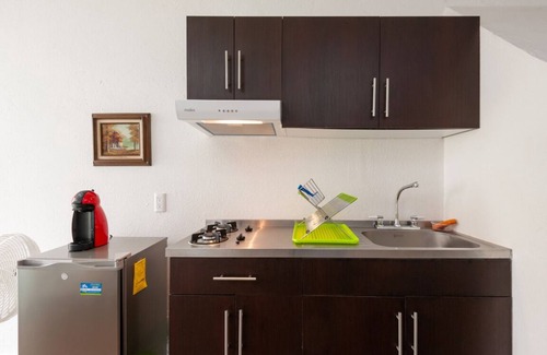 Coyoacan Apartment | GARDEN HOUSE, WELCOME TO SAN ANGEL NEIGHBOURHOOD