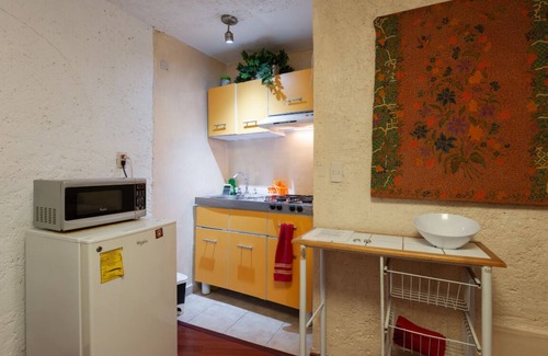 Coyoacan Apartment | GARDEN HOUSE, WELCOME TO SAN ANGEL NEIGHBOURHOOD