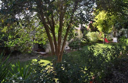 Silves House | Garden in the City
