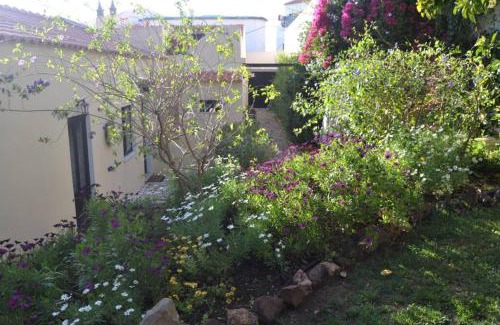 Silves House | Garden in the City