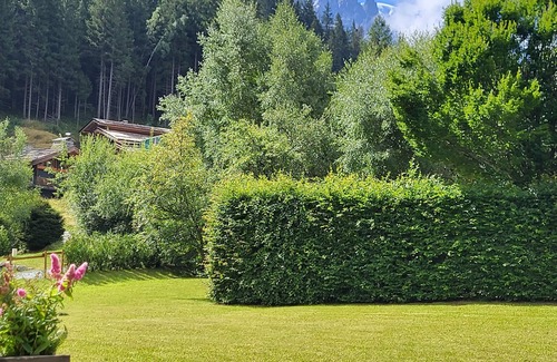 Le Lavancher Apartment | GARDEN LEVEL FACING MONT BLANC FOR 4 PEOPLE