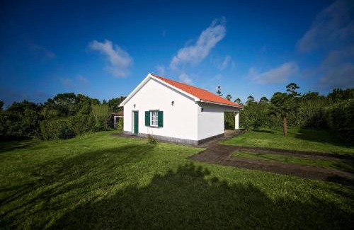 Capelo House | Garden Oasis