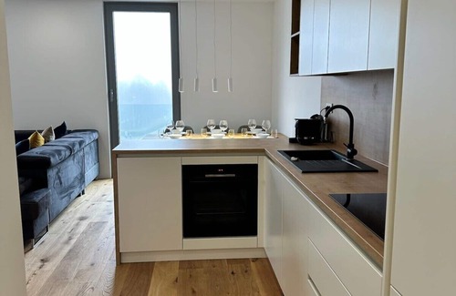 Ljubljana City Centre Apartment | Garden Residence - Premium Alpine View Apartment