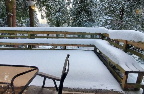 Hollyburn Apartment | Garden Retreat in West Vancouver