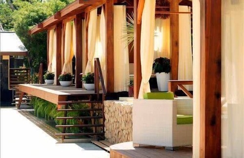 Paramaribo Apartment | Garden Room Suriname Mangrove forest