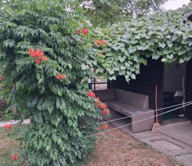 Ljubljana Other | GARDEN SHACK ROOM NEXT TO A RIVER WITH ADDITIONAL LAND FOR YOUR TENT you get two bicycles for amazing views and two water floats for a nice river run PERSONAL GUIDANCE use the location not the address to get there CHECK YOUTUBE VIDEO RiverRunDusko