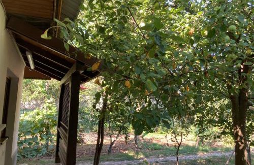Tirgu Jiu Apartment | Garden-side apartments in Targu-Jiu