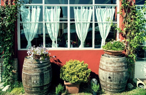Passano Apartment | Garden-View Apartment in Coriano Italy with Swimming Pool