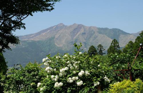 Minamiaso House | Garden Villa Minamiaso