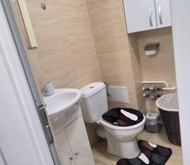 Pitesti Apartment | Garsoniera 25 m2