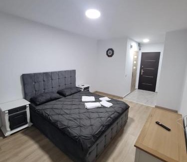 Pitesti Apartment | Garsoniera lux Lorena&Kevin