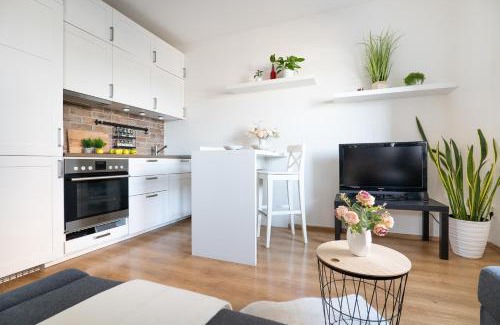 Uholicky Apartment | Garsonka Jana