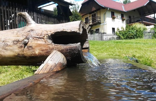 Guttaring Other | Gartenblick - Staudachhof - Urlaub am Bauernhof