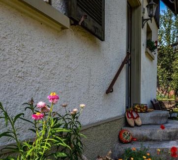 Schoenau im Schwarzwald House | GartenFerienhaus "AnnaLuise"