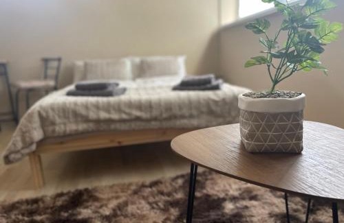 Sahy Apartment | Garzon/Studio apartment