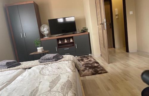 Sahy Apartment | Garzon/Studio apartment