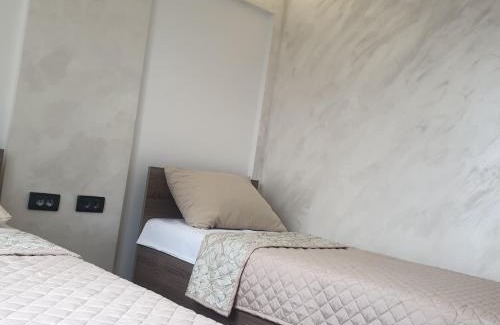 Stari Banovci Hotel | Gas Otel