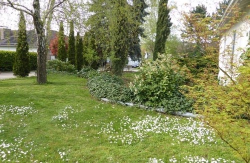 Bissersheim House | Gästehaus Blatner: Junior suite with terrace