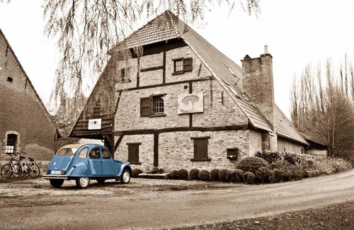 Ranst Bed & Breakfast | Gastenlogies Blauwe Schaap