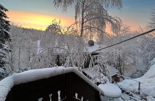 Piesau Apartment | Gasthaus Piesau - Thüringer Wald - Rennsteig