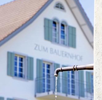 Oberlunkhofen Hotel | Gasthaus zum Bauernhof