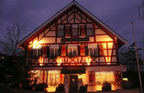 Andelfingen District Hotel | Gasthof Frohsinn