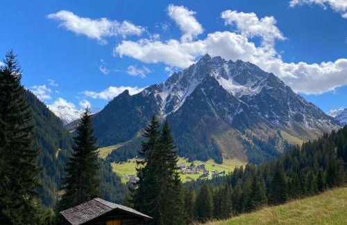 Gargellen House | Gasthof-Pension Wulfenia
