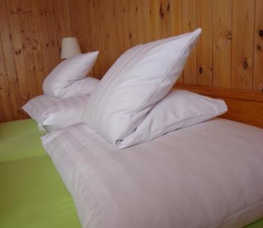 Tavanasa House | Gasthof Surselva