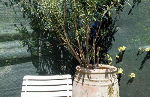 Cirenaica Apartment | Gastone Rossi apartment