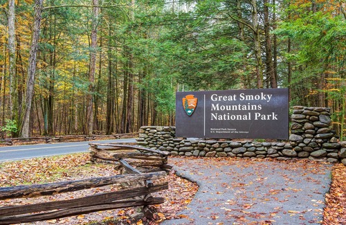 Black Bear Falls House | Gatlinburg Getaway