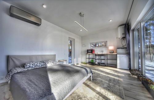 Gauja Apartment | GaujaClub - our BOSE and Bang&Olufsen lofts on a lake