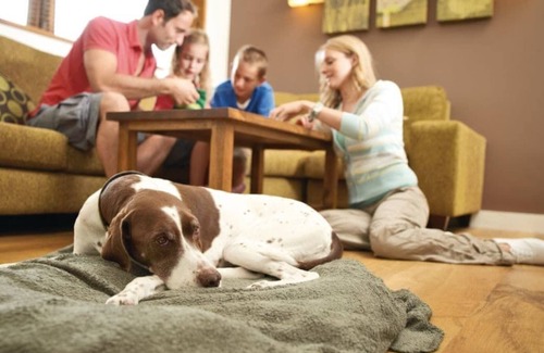 North York Moors National Park Cabin | 1 bedroom accommodation in Cropton, Pickering