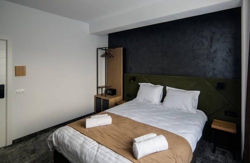 Timisoara Hotel | GBU Home Olive Executive 403