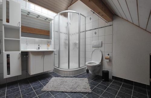 Balgach Apartment | Gemütliche Dachwohnung