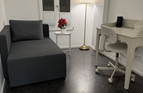 Waldshut-Tiengen Apartment | Gemütliche Ferienwohnung in der Innenstadt Stadtjuwel