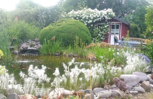 Mastershausen Apartment | Gemütliche Ferienwohnung mit Terrasse und Wunderschönem Garten