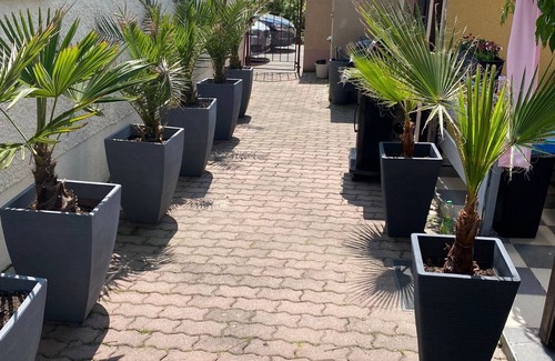 Jesewitz House | Gemütliche Ferienwohnung mit Großer Terrasse und Eigenem Garten