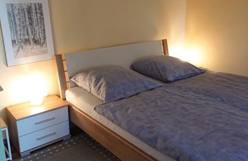 Altenau Apartment | Gemütliche Ferienwohnung am Nationalpark Harz mit Parkplatz am Haus