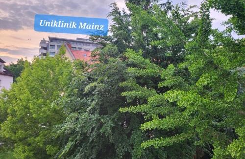 Oberstadt Apartment | Gemütliche Ferienwohnung direkt an der Uniklinik Mainz