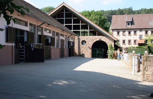 Erbach Apartment | Gemütliche Fewo auf Einem Gestüt in Kleinem Odenwälder Weiler - Natur Pur!