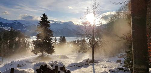 Meiringen Apartment | Gemütliche FeWo mit Sauna inmitten der Berge